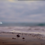 Diamantové pole – EARL NIGHTINGALE