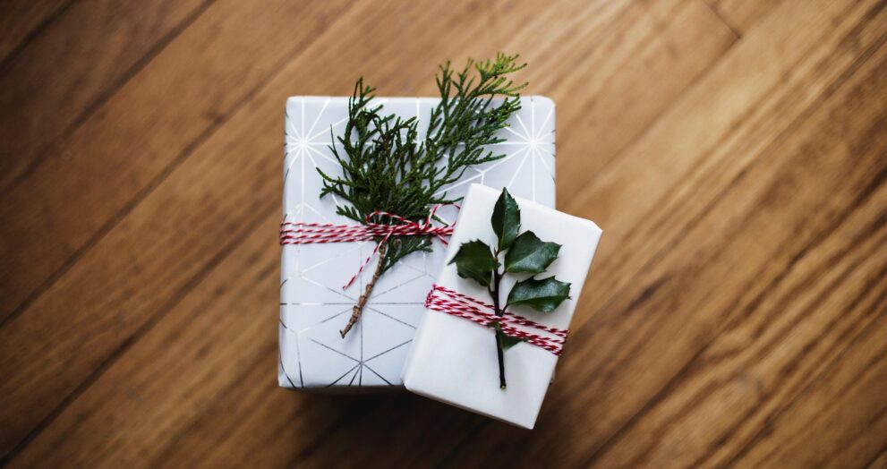 Nejhodnotnější dárek pro dítě Image by Kari Shea from Pixabay